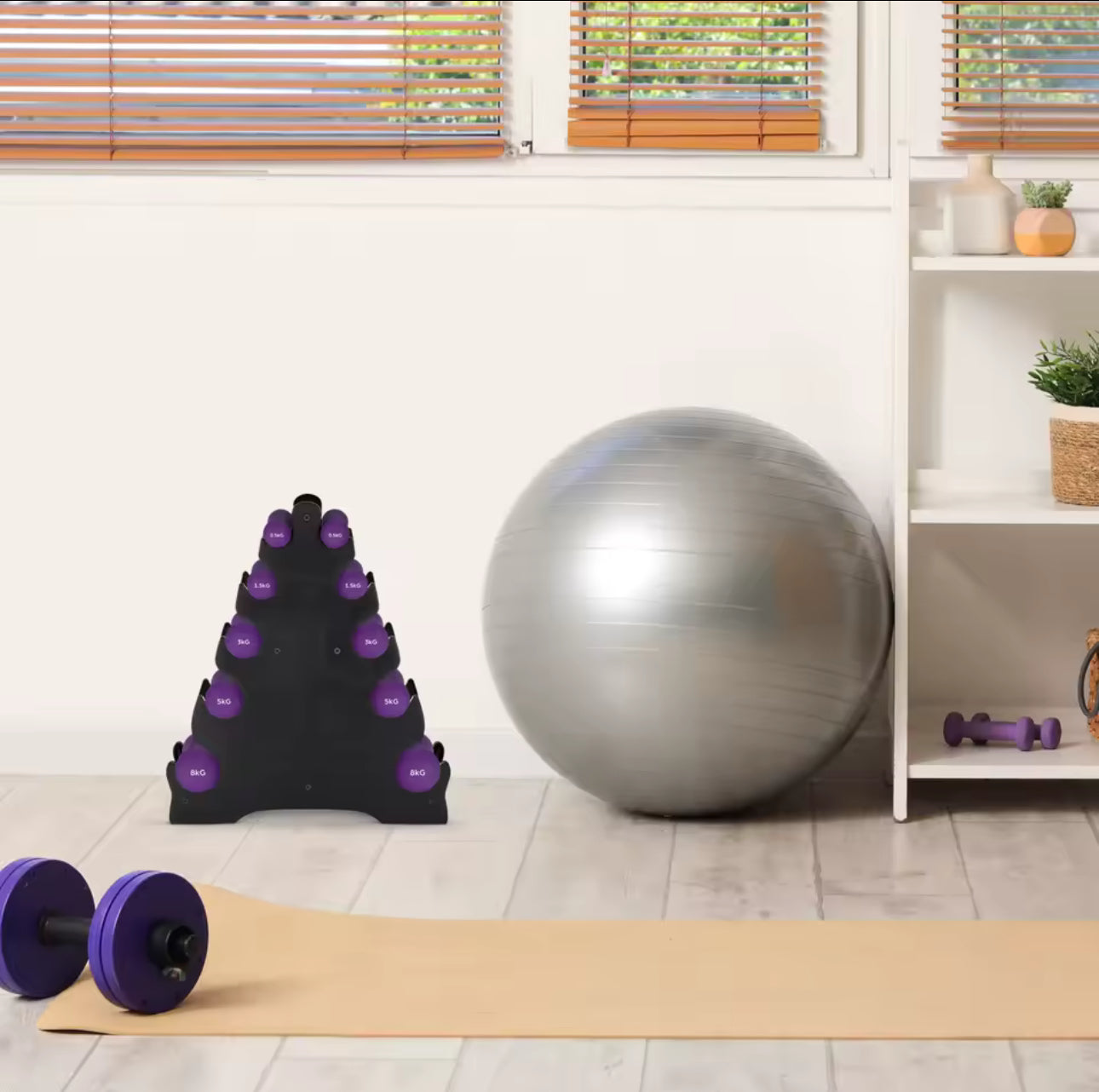 حاملة دمبلصات بلاستك